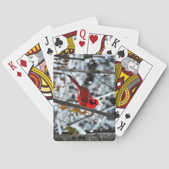 Beautiful Bright Red Cardinal in the Snow Playing Cards (Back)