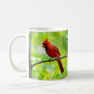 Beautiful Bright Red Cardinal on a Branch Coffee Mug