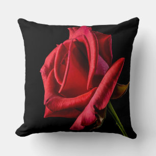 Beautiful Bright Red Rose Closeup Cushion