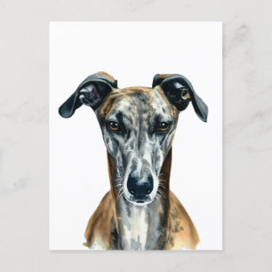 Beautiful brindle Greyhound illustration Postcard