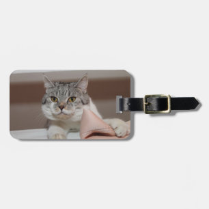 Beautiful British Shorthair Tomcat Luggage Tag
