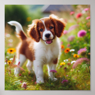 beautiful Brittany puppy Poster