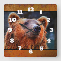 Beautiful Brown Bear Portrait Wildlife Photo