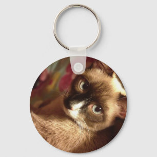 Beautiful Brown Cat Key Ring