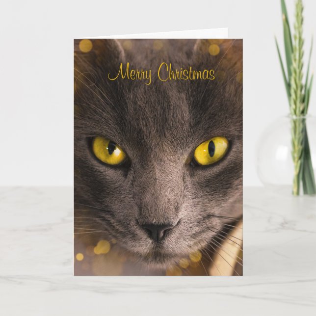 Beautiful Brown Cat with Gold Lights Christmas Card (Front)