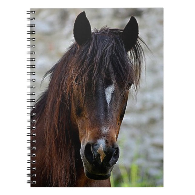 Beautiful Brown Horse Notebook (Front)