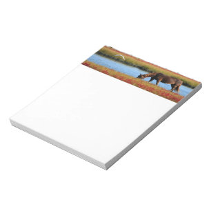 Beautiful Brown Horse Notepad