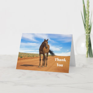Beautiful Brown Horse Road Photo Thank You Card