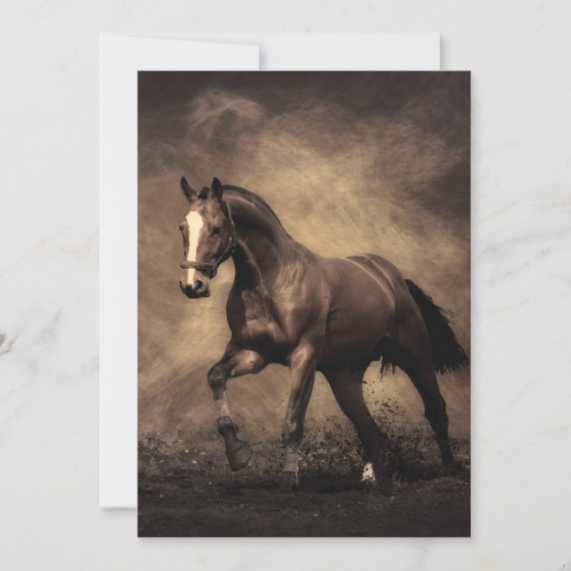 Beautiful brown horse throw pillow announcement (Front)