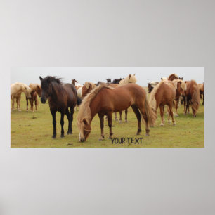 Beautiful brown horses poster