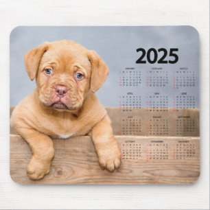 Beautiful Brown Puppy 2025 Dog Calendar Mouse Pad