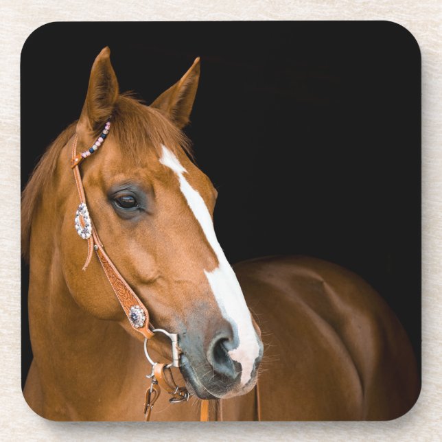 Beautiful Brown White Quarter Horse Photo Coaster (Front)