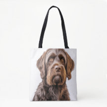 BEAUTIFUL BROWN WIREHAIRED POINTING GRIFFON DOG
