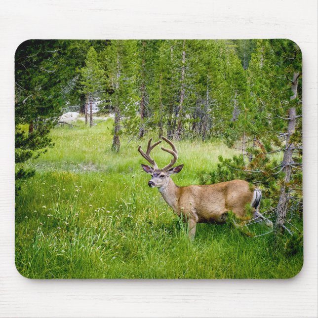 Beautiful Buck in the Meadow Mousepad (Front)