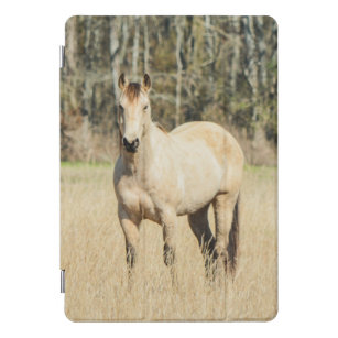 Beautiful Buckskin Horse iPad Pro Cover