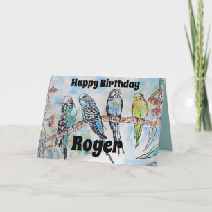 Beautiful Budgies Budgerigars Gum Blossom Men Card