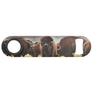 Beautiful Buffalo Herd