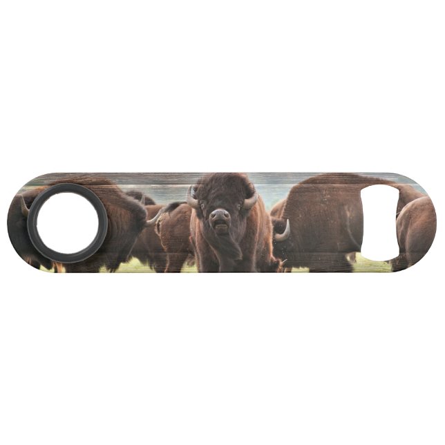 Beautiful Buffalo Herd (Front (Horizontal))