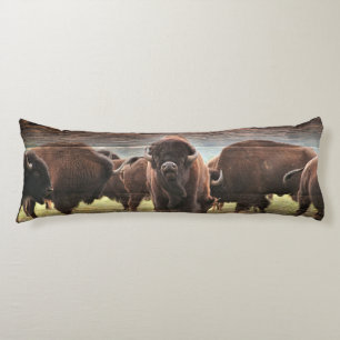 Beautiful Buffalo Herd Body Cushion