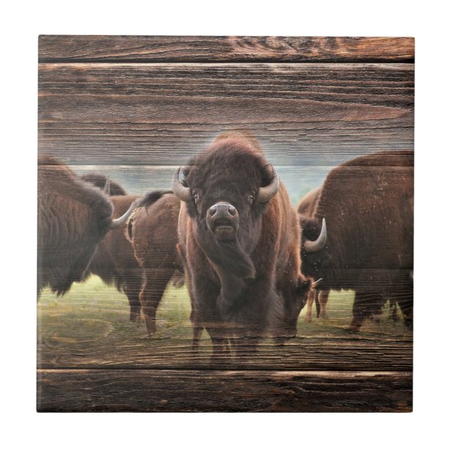 Beautiful Buffalo Herd Ceramic Tile (Front)