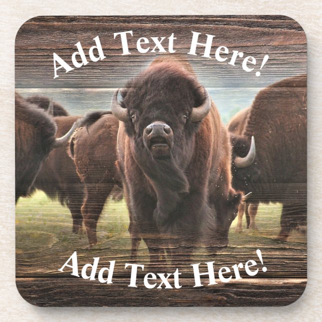 Beautiful Buffalo Herd  Coaster (Front)