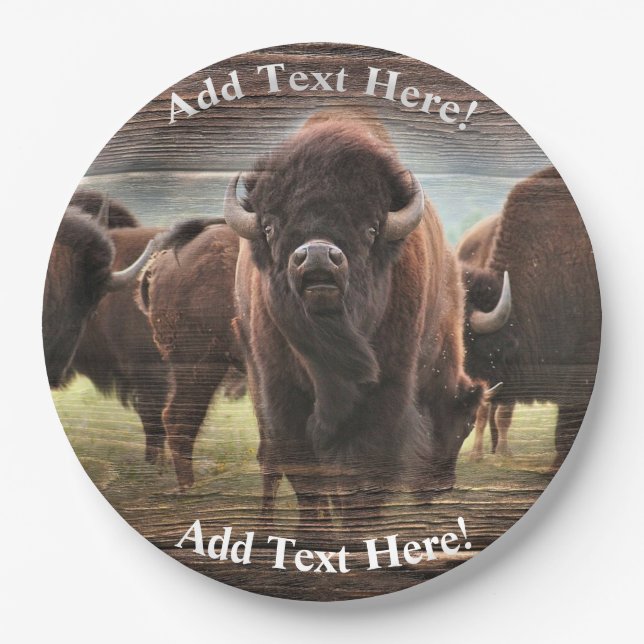 Beautiful Buffalo Herd  Paper Plate (Front)