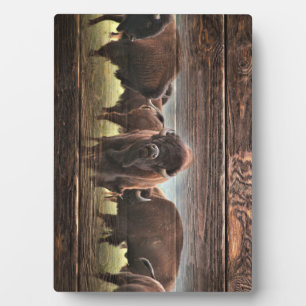 Beautiful Buffalo Herd Plaque