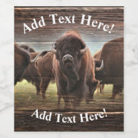 Beautiful Buffalo Herd