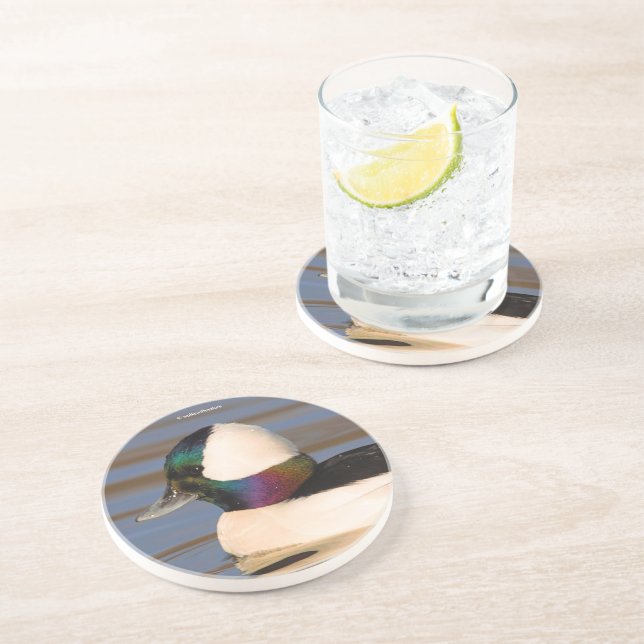 Beautiful Bufflehead Duck in the Afternoon Sun Coaster (Side)