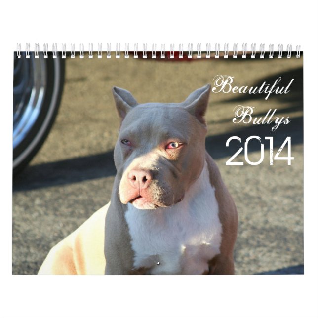 Beautiful Bullys 2014 Dog Calendar (Cover)
