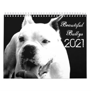 Beautiful Bullys 2021 Dog Calendar