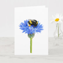 Beautiful Bumblebee Drawing Folded Greeting Card