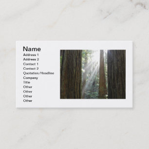 Beautiful Business Card