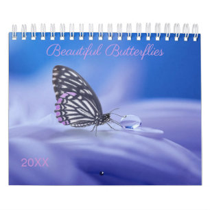Beautiful Butterflies 2019 Photography Calendar