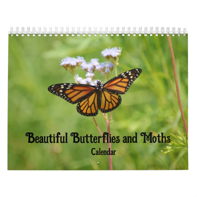Beautiful Butterflies and Moths Calendar (Cover)