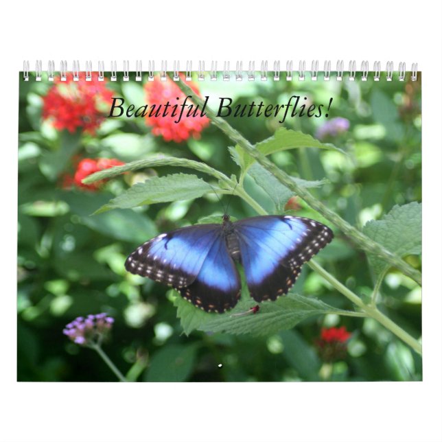 Beautiful Butterflies Calendar (Cover)