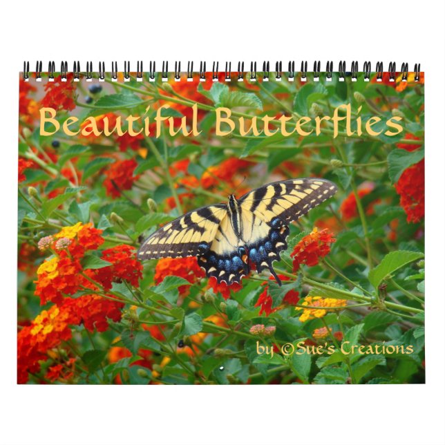 Beautiful Butterflies Calendar (Cover)