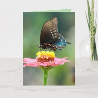 Beautiful Butterflies Card