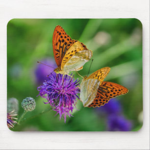 Beautiful Butterflies Mouse Pad