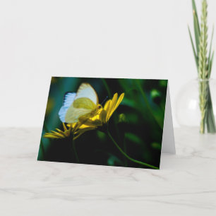 Beautiful Butterfly Blank Notecard