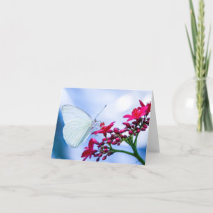 Beautiful Butterfly Blank Notecard