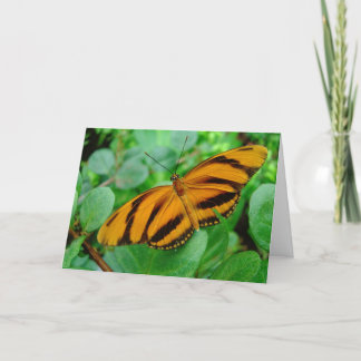 Beautiful Butterfly Card