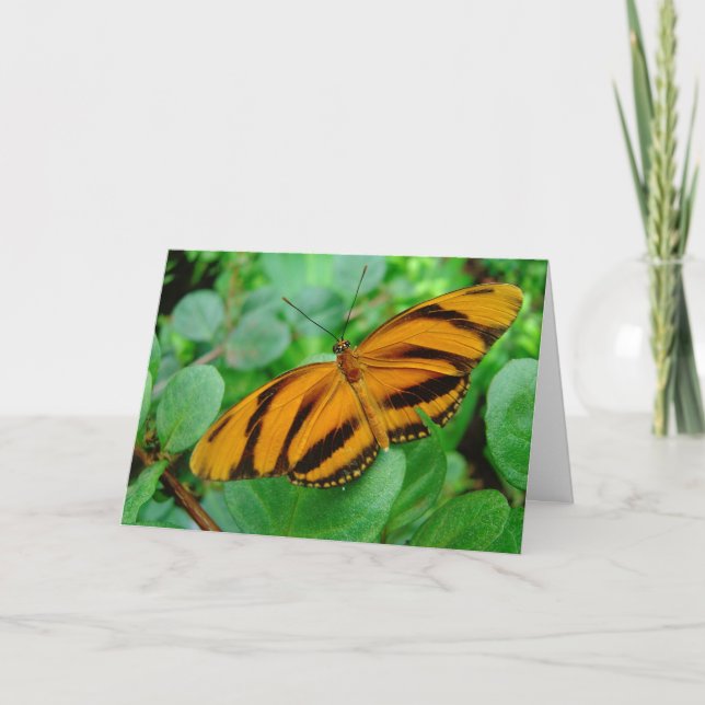 Beautiful Butterfly Card (Front)