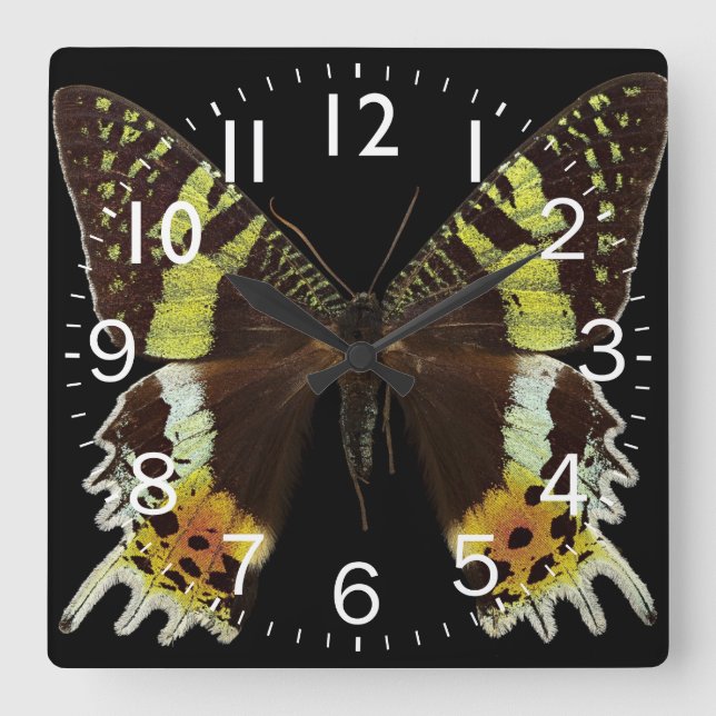 Beautiful Butterfly Closeup Square Wall Clock (Front)