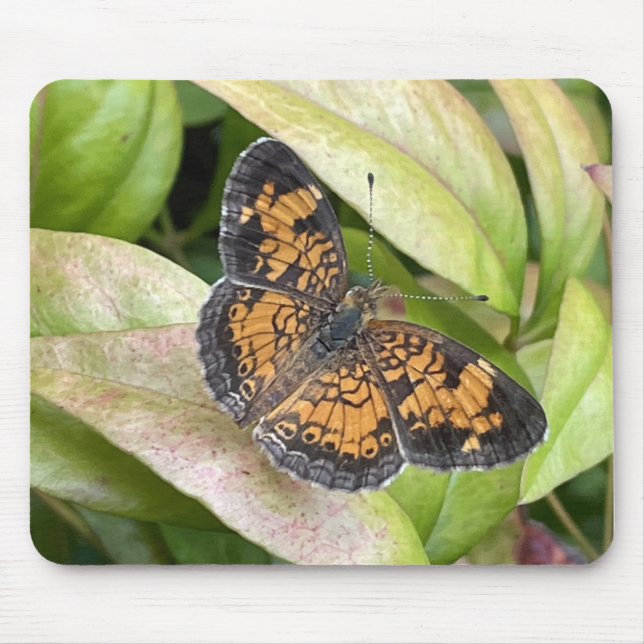 Beautiful Butterfly in Nature Mousepad (Front)