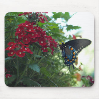 Beautiful Butterfly Mouse Pad