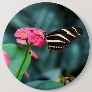 Beautiful butterfly on a pink flower 6 cm round badge