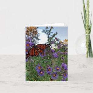 Beautiful butterfly on cornflowers  card
