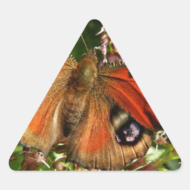 Beautiful Butterfly on Flowers Triangle Sticker (Front)