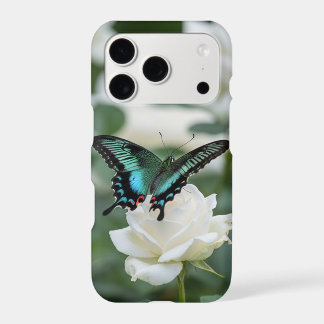 Beautiful Butterfly on white rose -